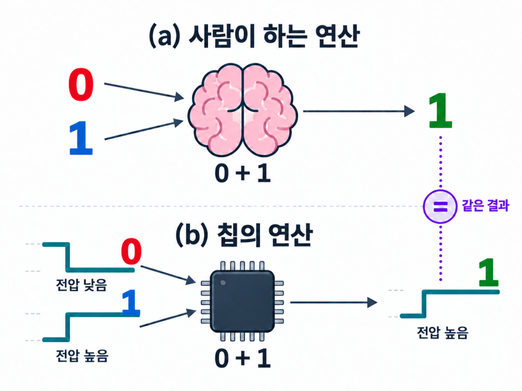 A brain computing 0 + 1 = 1, compared with a chip that takes a low and a high voltage and outputs a high voltage